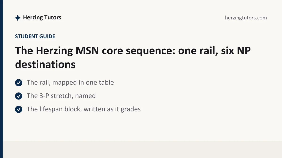 The Herzing MSN core sequence: one rail, six NP destinations, a Herzing student guide, from Herzing Tutors
